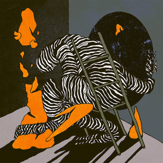 Various Artists - A Litany of Failures Volume 5 - LP - PREORDER (Released 10.10.25)